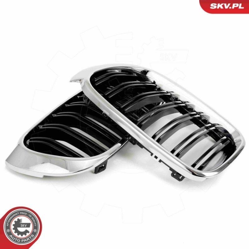 ESEN SKV Kühlergitter