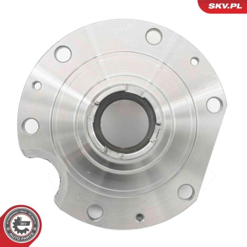 ESEN SKV Radlagersatz 29SKV569