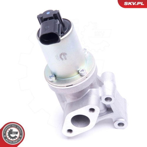 ESEN SKV AGR-Ventil 14SKV213