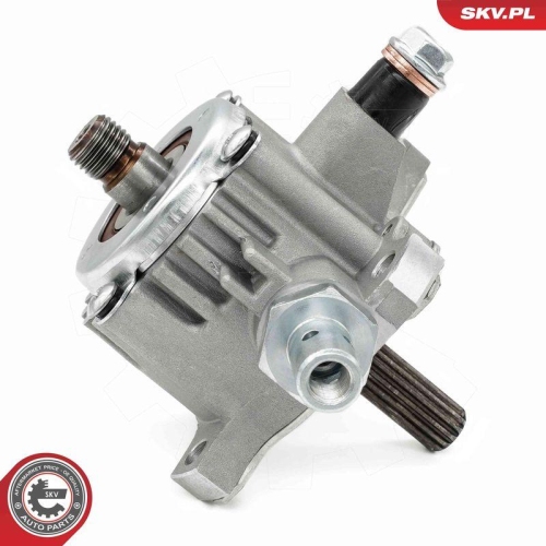 ESEN SKV Unterdruckpumpe, Bremsanlage