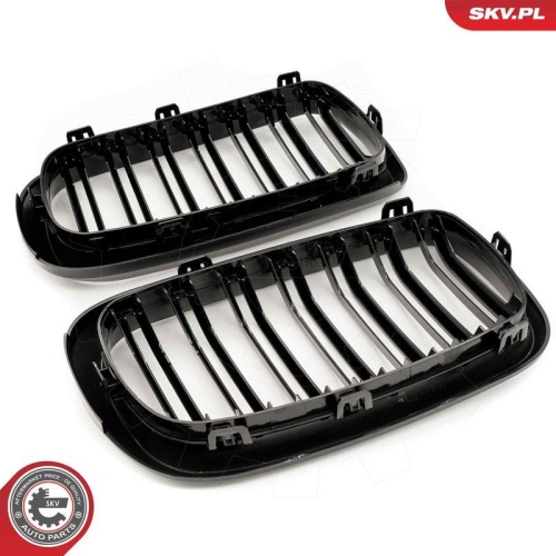 ESEN SKV Kühlergitter