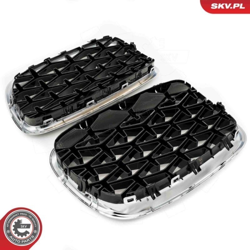 ESEN SKV Kühlergitter