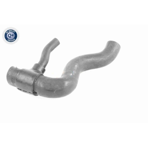 VAICO Kühlerschlauch Q+, Erstausrüsterqualität V30-1951