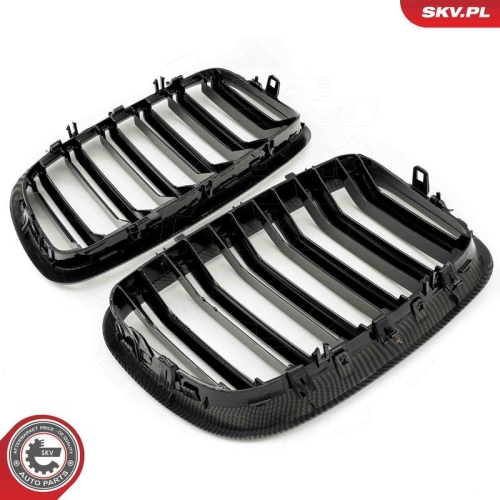 ESEN SKV Kühlergitter