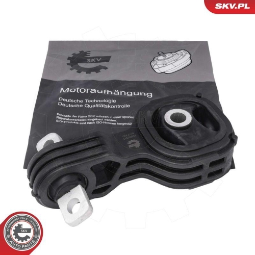 ESEN SKV Lagerung, Motor 75SKV313