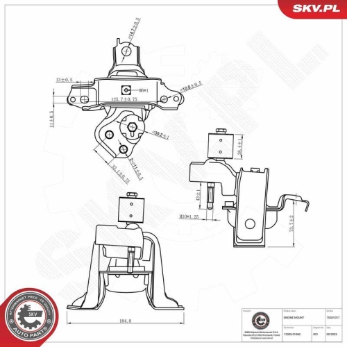 ESEN SKV Lagerung, Motor 75SKV317