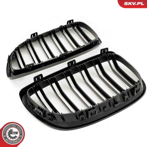 ESEN SKV Kühlergitter