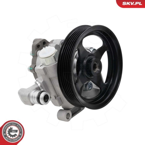 ESEN SKV Hydraulikpumpe, Lenkung 10SKV335