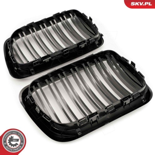 ESEN SKV Kühlergitter