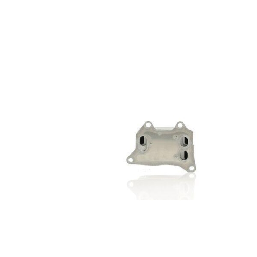 MAHLE &Ouml;lk&uuml;hler, Motor&ouml;l BEHR CLC 263 000S