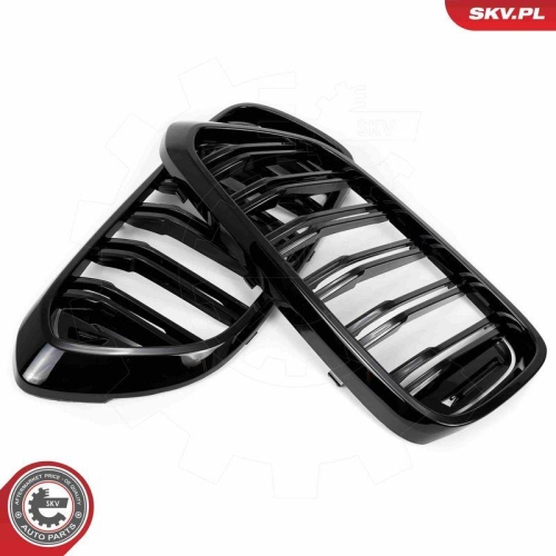 ESEN SKV Kühlergitter