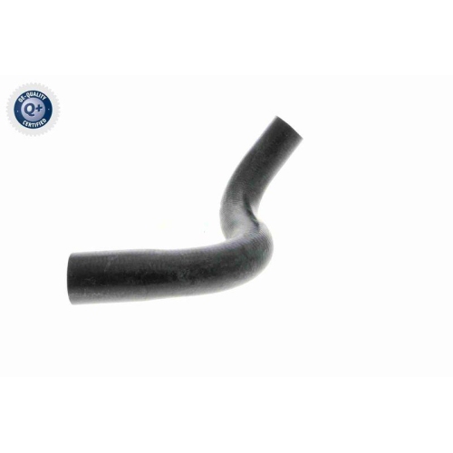 VAICO K&uuml;hlerschlauch Q+, Erstausr&uuml;sterqualit&auml;t V24-0872