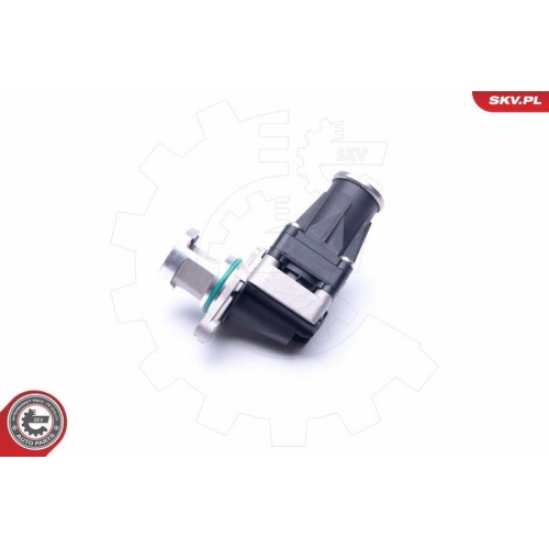 ESEN SKV AGR-Ventil