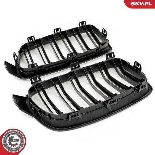 ESEN SKV Kühlergitter