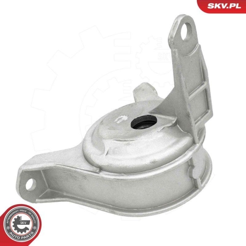 ESEN SKV Lagerung, Motor 75SKV024