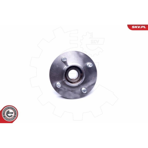 ESEN SKV Radlagersatz