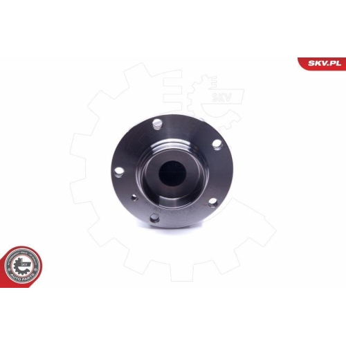 ESEN SKV Radlagersatz