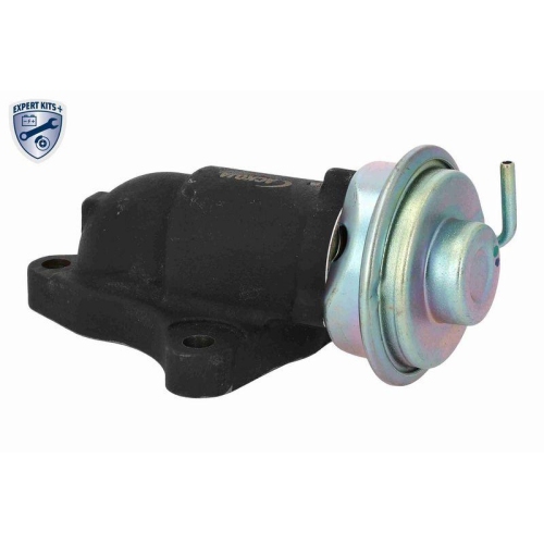 ACKOJA AGR-Ventil EXPERT KITS +