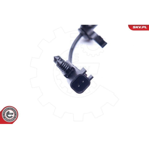 ESEN SKV Radlagersatz