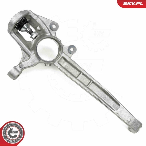 ESEN SKV Achsschenkel, Radaufhängung