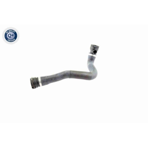 VAICO Kühlerschlauch Q+, Erstausrüsterqualität V20-0873