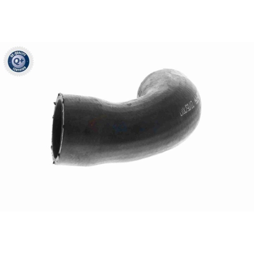 VAICO Ladeluftschlauch Q+, Erstausrüsterqualität V10-3758