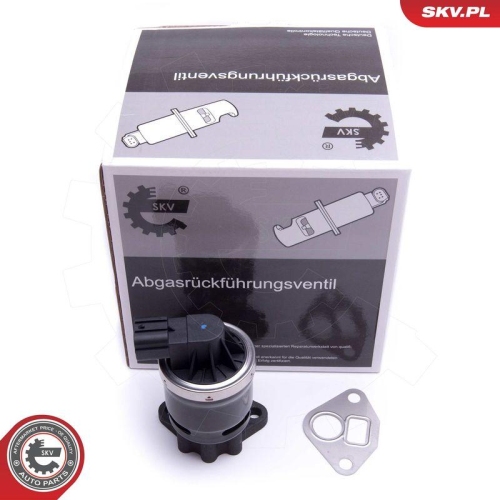 ESEN SKV AGR-Ventil 14SKV210