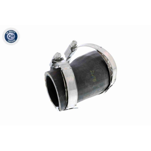 VAICO Ladeluftschlauch Q+, Erstausrüsterqualität V10-3799