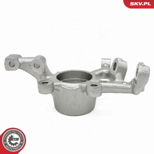 ESEN SKV Achsschenkel, Radaufhängung