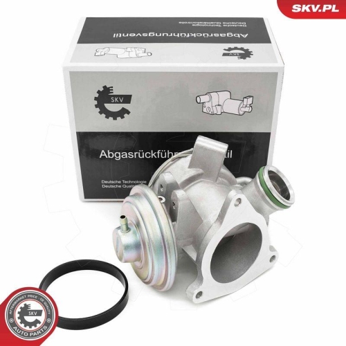 ESEN SKV AGR-Ventil 14SKV242