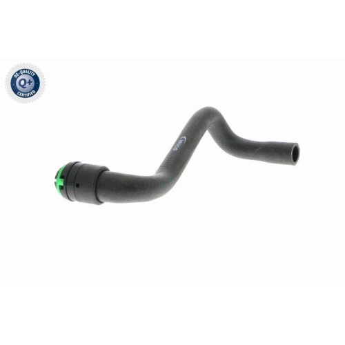 VAICO K&uuml;hlerschlauch Q+, Erstausr&uuml;sterqualit&auml;t V40-1347