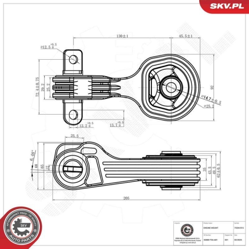 ESEN SKV Lagerung, Motor