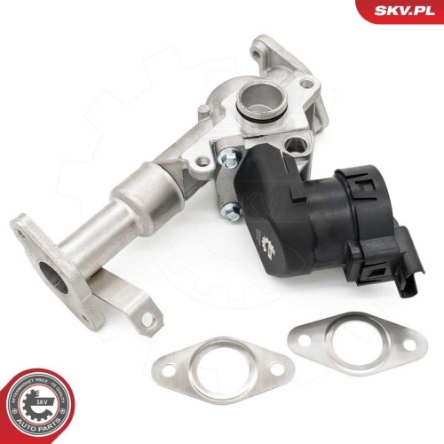 ESEN SKV AGR-Ventil 14SKV287