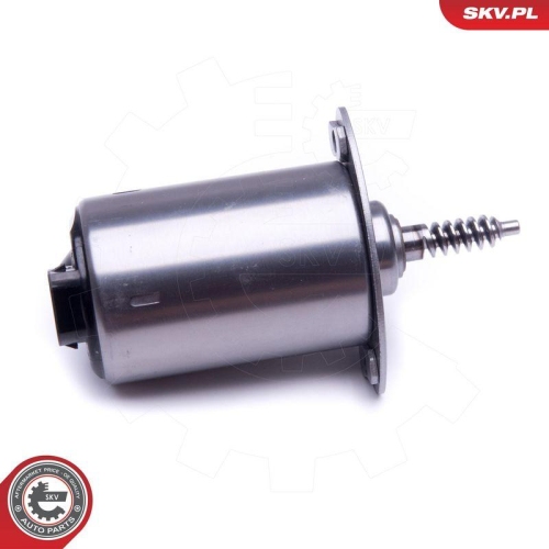 ESEN SKV Stellelement, Exzenterwelle (variabler Ventilhub) 96SKV089