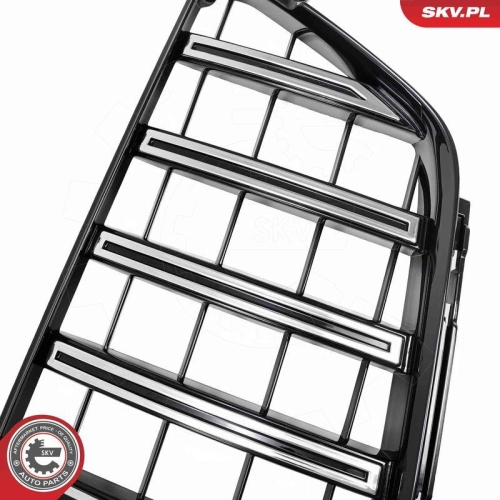 ESEN SKV Kühlergitter