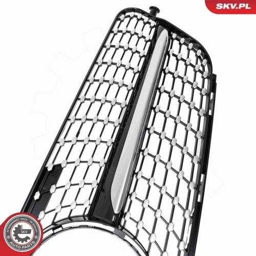 ESEN SKV Kühlergitter