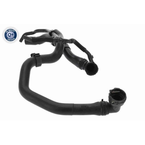 VAICO Kühlerschlauch Q+, Erstausrüsterqualität V10-4884