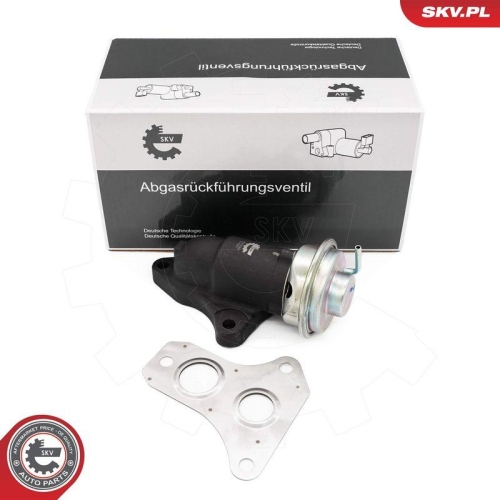 ESEN SKV AGR-Ventil 14SKV263