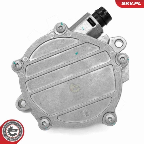 ESEN SKV Unterdruckpumpe, Bremsanlage 18SKV075