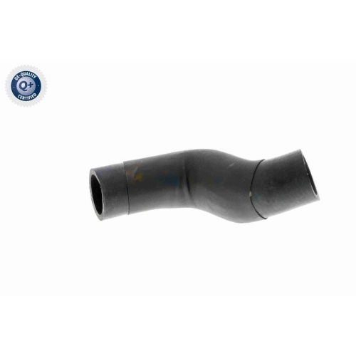 VAICO K&uuml;hlerschlauch Q+, Erstausr&uuml;sterqualit&auml;t V20-2608