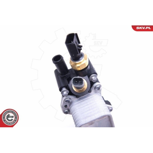 ESEN SKV Geh&auml;use, &Ouml;lfilter