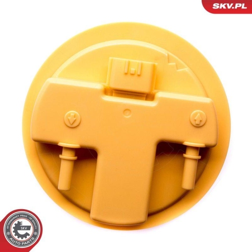 ESEN SKV Kraftstoff-F&ouml;rdereinheit 02SKV809