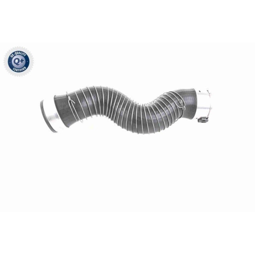 VAICO Ladeluftschlauch Q+, Erstausrüsterqualität V20-3251