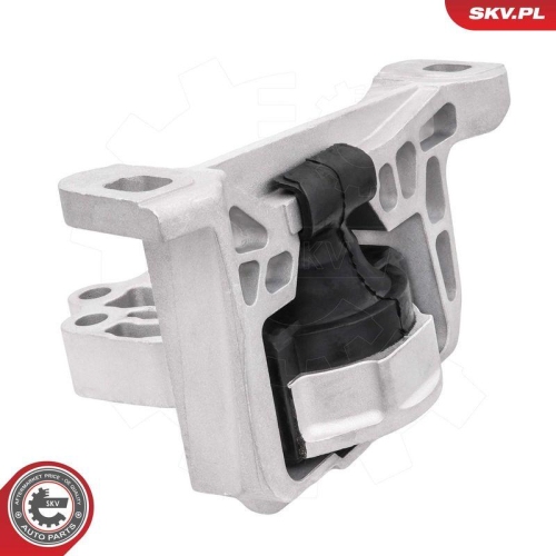 ESEN SKV Lagerung, Motor 75SKV296