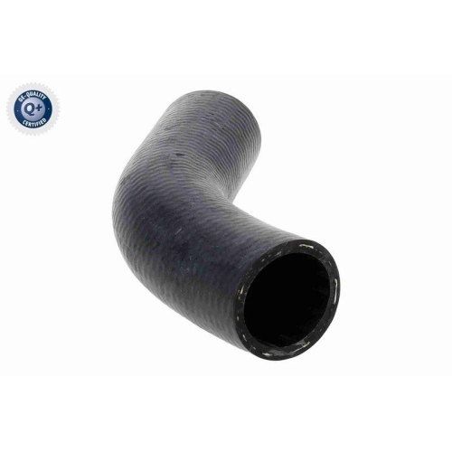 ACKOJA Kühlerschlauch Green Mobility Parts