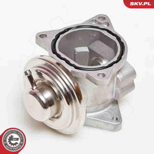 ESEN SKV AGR-Ventil 14SKV019