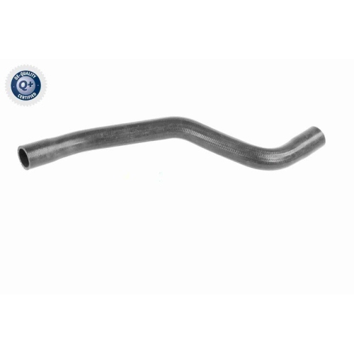 VAICO K&uuml;hlerschlauch Q+, Erstausr&uuml;sterqualit&auml;t V46-0915