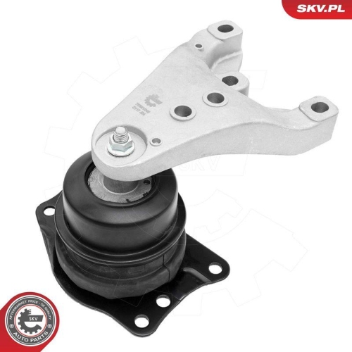 ESEN SKV Lagerung, Motor 75SKV046