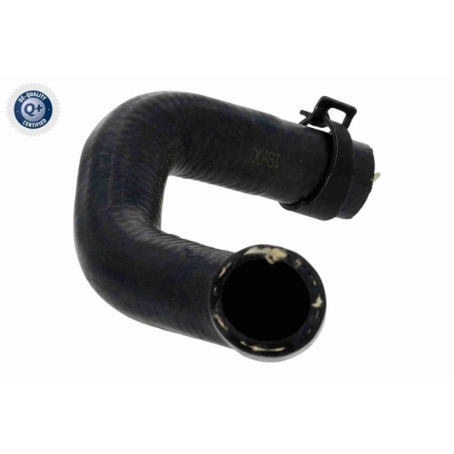 VAICO K&uuml;hlerschlauch Green Mobility Parts V10-9008