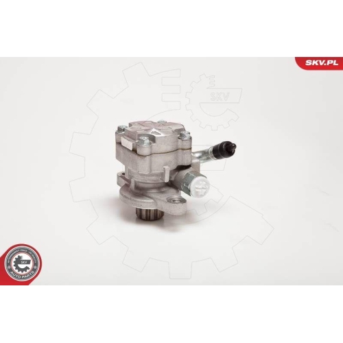 ESEN SKV Hydraulikpumpe, Lenkung